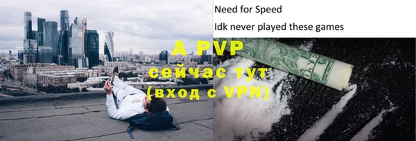 гидра Арсеньев