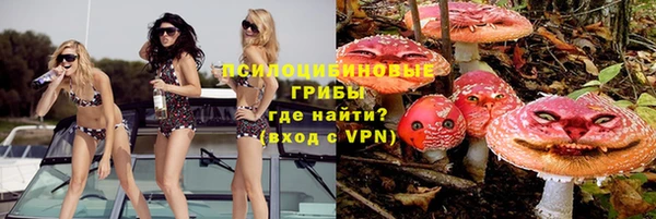 apvp Аркадак