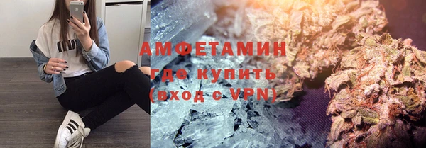 гидра Арсеньев